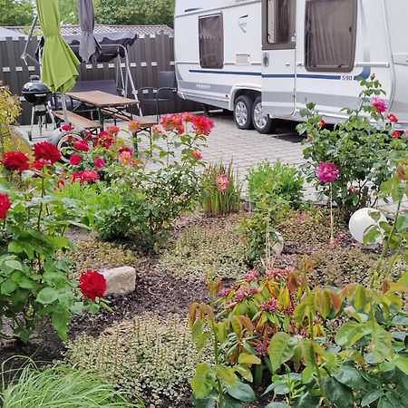 Schoene Neu Erbaute Wohnung Berlin Bagian luar foto