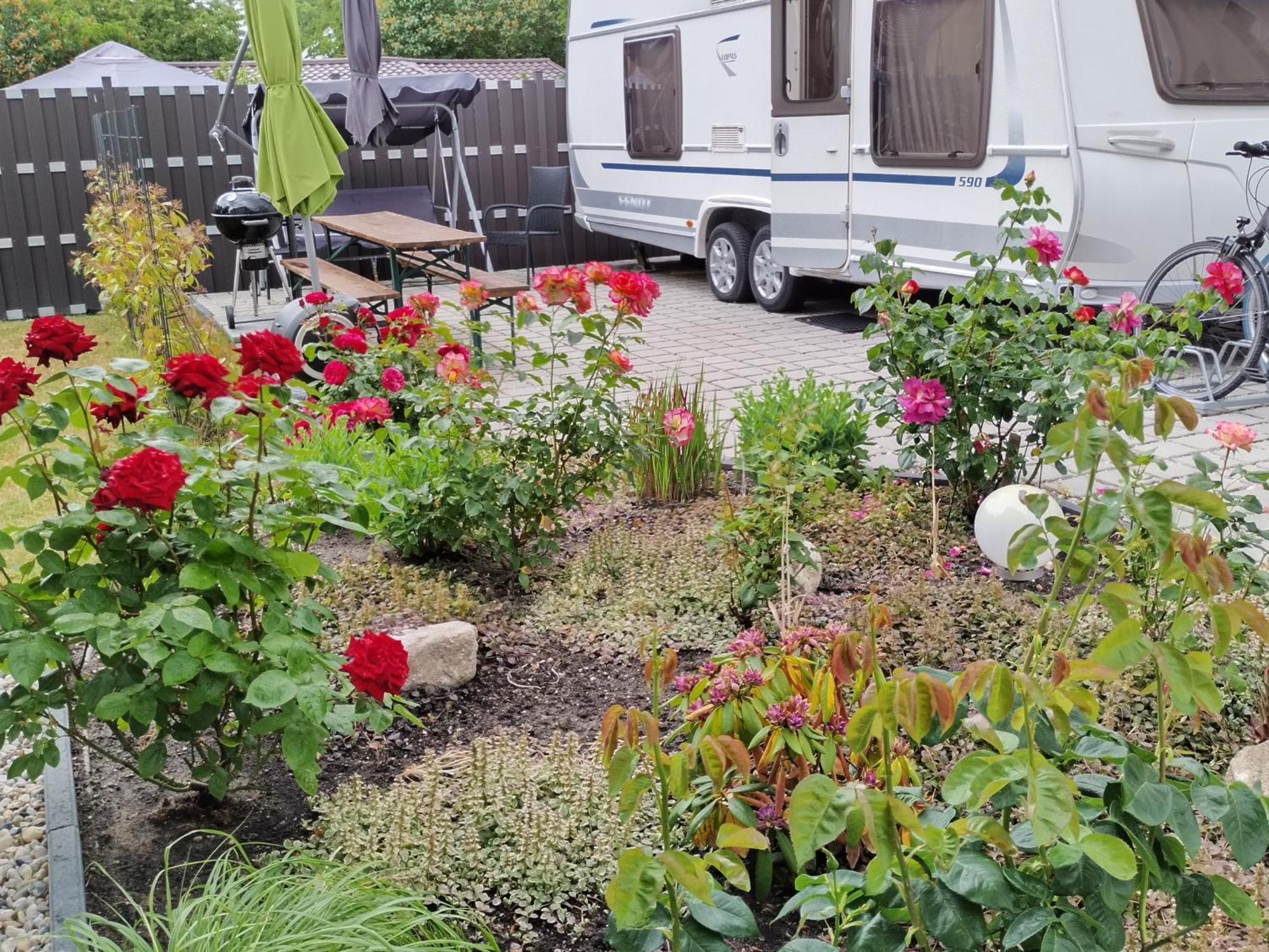 Schoene Neu Erbaute Wohnung Berlin Bagian luar foto